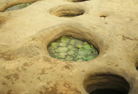 MALI 242 (EL PAIS DE DOGONES-PARTE ALTA DE LA FALLA)... DETALLE