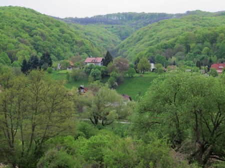 ESLOVENIA 3. CERCA DE LA MITAD DEL PAÍS ESTÁ CUBIERTA DE BOSQUES
