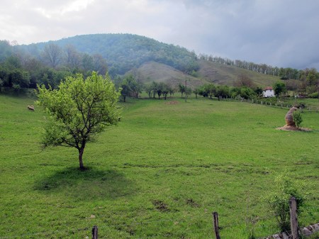 SERBIA 48. (IRON GATES) UNOS PAISAJES DE LO MAS BUCOLICO