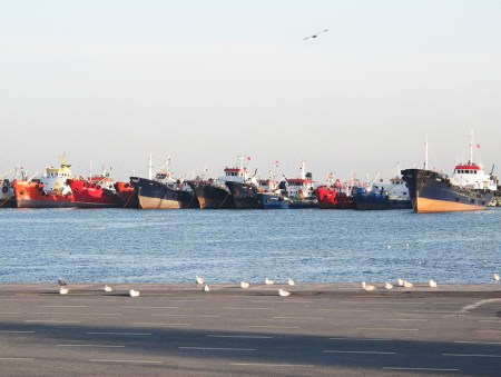 TURQUIA 17. (ESTAMBUL-MARMARA) MAR DE MARMARA PUERTO PESQUERO