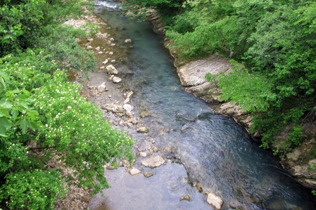 GEORGIA 11.HAY MUCHOS RIOS Y RIACHUELOS