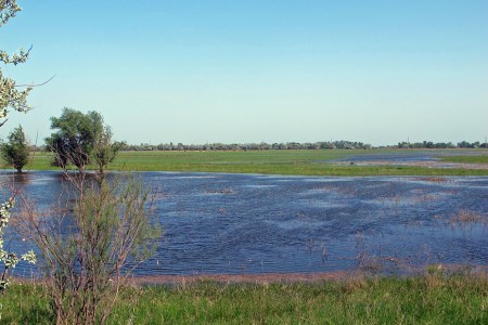 RUSIA 1° ENTRADA 58.(EL DELTA DEL VOLGA) PANORAMA 1