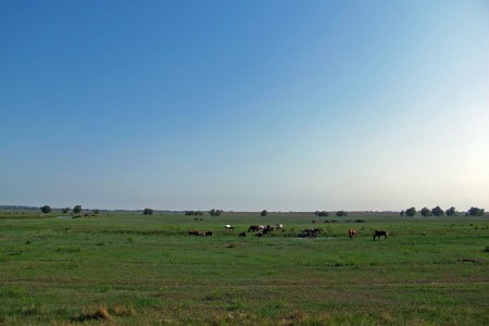 RUSIA 1° ENTRADA 59.(EL DELTA DEL VOLGA) PANORAMA 2