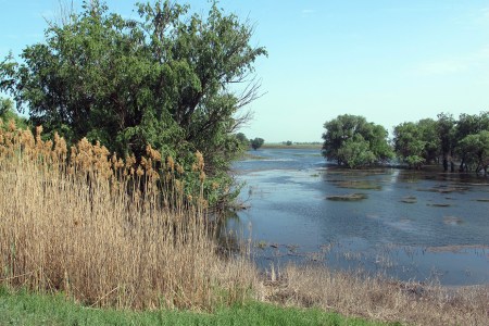 RUSIA 1° ENTRADA 60.(EL DELTA DEL VOLGA) PANORAMA 3