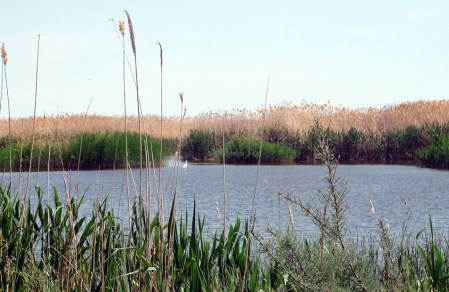 KAZAQUISTAN 1° ENTRADA 57. (MAR CASPIO) LAS CONFUSAS ORILLAS DEL MAR 1