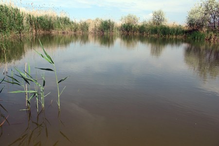KAZAQUISTAN 1° ENTRADA 60. (MAR CASPIO) LAS CONFUSAS ORILLAS DEL MAR 4