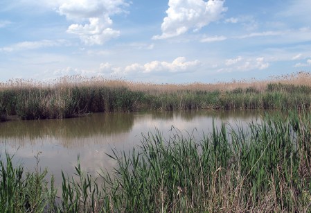 KAZAQUISTAN 1° ENTRADA 61. (MAR CASPIO) LAS CONFUSAS ORILLAS DEL MAR 5