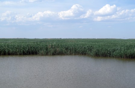 KAZAQUISTAN 1° ENTRADA 62. (MAR CASPIO) DE VUELTA