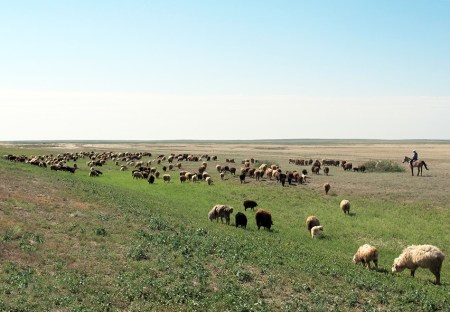 KAZAQUISTAN 1° ENTRADA 63. (CON DESTINO A UZBEKISTAN) PASTORES NOMADAS KAZAJOS