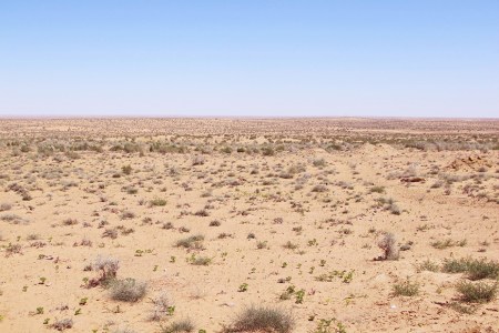 UZBEKISTAN 138 (EL DESIERTO DE KYZYL KUN) ES EL ONCEAVO DESIERTO MAS GRANDE DEL MUNDO, SU NOMBRE SIGNIFICA ARENA ROJA EN UZBEKO