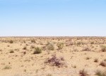 UZBEKISTAN 143 (EL DESIERTO DE KYZYL KUN) ES DE LOS MAS CALUROSOS DEL MUNDO, SE REGISTRÓ 57,1 °C EN JULIO DE 1983