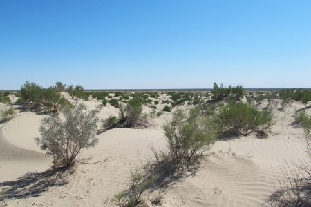 UZBEKISTAN 20 (DENTRO DE EL MAR DE ARAL) DE PASEO POR EL FONDO DEL MAR 5