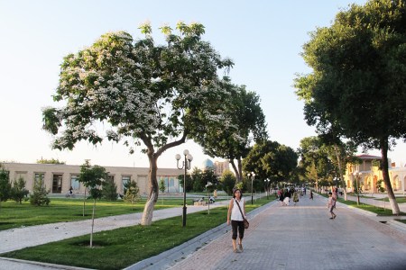 UZBEKISTAN 244 (LA VIDA EN SAMARCANDA) CUENTA CON UNA POBLACION DE 412.300 HABITANTES