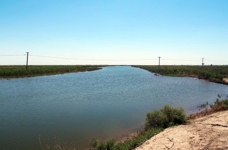 UZBEKISTAN 28 (HUMEDALES CERCA DE MOYNAQ) CANAL DE ALIMENTACION DE HUMEDAL