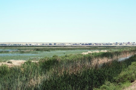 UZBEKISTAN 29 (HUMEDALES CERCA DE MOYNAQ) AL FONDO LA CIUDAD