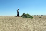 UZBEKISTAN 31 (HUMEDALES CERCA DE MOYNAQ) LOS LUGARENOS SACAN EL MAXIMO DE PROVECHO DE LA LAGUNA