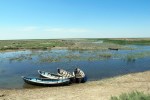 UZBEKISTAN 32 (HUMEDALES CERCA DE MOYNAQ) NOS HAN DICHO QUE SACAN ALGUNOS PEQUENOS PECES DE AGUA DULCE