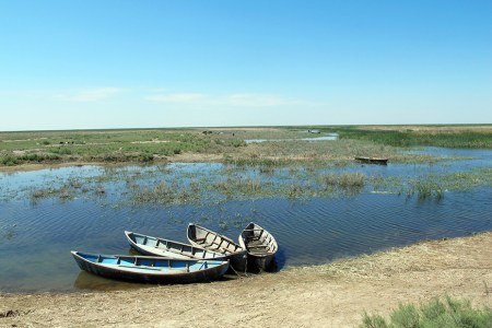 UZBEKISTAN 32 (HUMEDALES CERCA DE MOYNAQ) NOS HAN DICHO QUE SACAN ALGUNOS PEQUENOS PECES DE AGUA DULCE