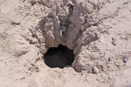 UZBEKISTAN 59 (SHILPIQ) UNA VEZ QUE LOS HUESOS TOMAN EL COLOR BLANCO, POR LA INTERVENCIÓN DEL SOL Y DEL VIENTO, SON ARROJADOS AL OSARIO UBICADO EN LA PARTE CENTRAL DEL EDIFICIO