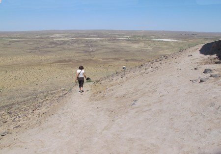 UZBEKISTAN 64 (SHILPIQ) AUN FALTA PARA EL COCHE