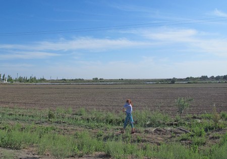 UZBEKISTAN 73 (DE CAMINO A KHIVA) PASAMOS POR REGIONES DONDE HAY CAMPOS PREPARADOS PARA EL CULTIVO DEL ALGODON
