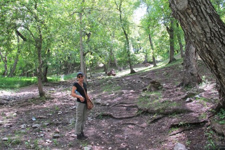 KIRGUISTAN 118 (ARSLANBOB, SUBIENDO AL BOSQUE DE NOGALES) UNA PARADA SE AGRADECE