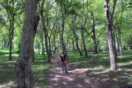 KIRGUISTAN 123 (ARSLANBOB, EN EL BOSQUE DE NOGALES) LA PRIMERA EXPORTACION DE KIRGUISTAN CONOCIDA EN EUROPA, FUE LA MADERA DE NOGAL DE ARSLANBOB