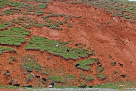 KIRGUISTAN 14 (HACIA EL PAMIR) CAMINO A GULCHA, YURTAS Y NOMADAS 4