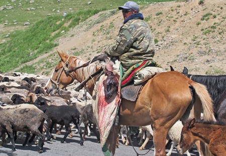 KIRGUISTAN 161 (DE ARSLANBOB A SUUSAMYR) SON UN POCO VIOLENTOS CON LOS ANIMALES