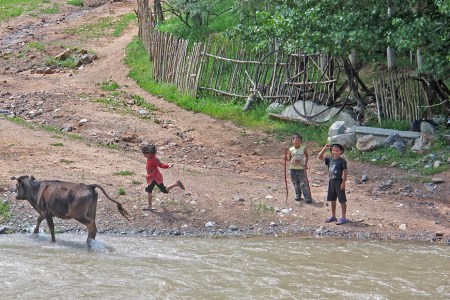 KIRGUISTAN 18 (HACIA EL PAMIR) GULCHA, LAVANDO LA VACA