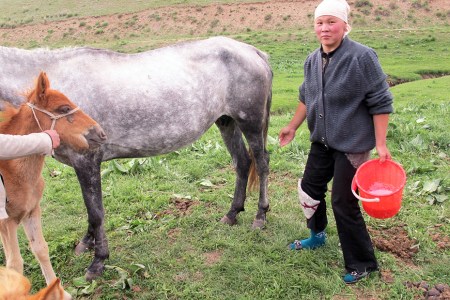 KIRGUISTAN 198 (DE KAIYRMA A BALYKCHY) TRABAJO ACABADO