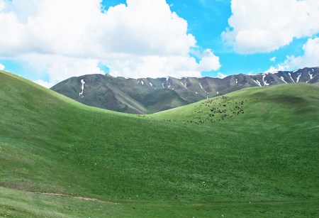 KIRGUISTAN 203 (DE KAIYRMA A BALYKCHY) … A CAMPOS DE UN VERDE RABIOSO