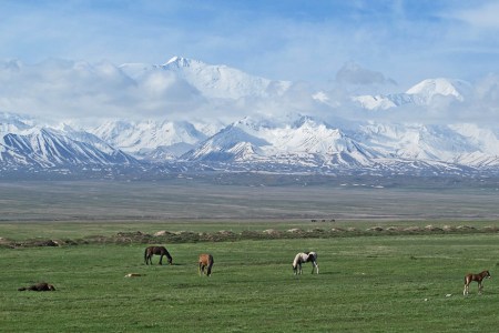KIRGUISTAN 49 (PAMIR, EL VALLE DE ALAI) POR ALGO LE LLAMAN EL PAIS DE LOS CABALLOS