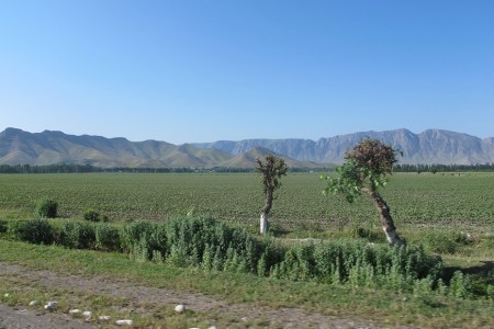 KIRGUISTAN 5 (HACIA EL PAMIR) CIUDAD DE OCH, SALIENDO DE LA POBLACION