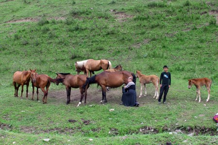 KIRGUISTAN 7 (HACIA EL PAMIR) CAMINO A GULCHA, NOMADA ORDENADO UNA YEGUA, LOS CABALLAS SON LA BASE DE SU ECONOMIA