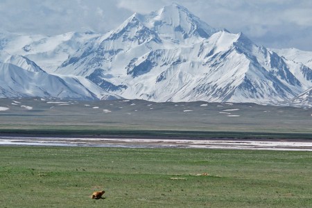 KIRGUISTAN 73 (PAMIR, HACIA LA FRONTERA CHINA) AL DERECHA DE LA IMAGEN HAY UNA MARMOTA
