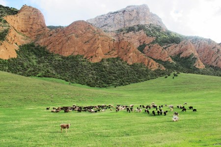 KIRGUISTAN 84 (AL OESTE DE MASIVO DE FERGANA) 5