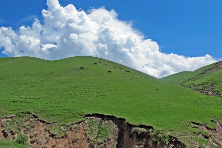 KIRGUISTAN 9 (HACIA EL PAMIR) CAMINO A GULCHA, LAS YURTAS SE UTILIZABAN EN LAS MONTAÑAS O PRADERAS, TRANSPORTANDOSE EN CABALLOS YURTAS Y NOMADAS