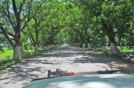 KIRGUISTAN 94 (HACIA ARSLANBOB) SUBIMOS PARALELOS AL RIO KARA UNGUR, QUE ESTA A NUESTRA DERECHA