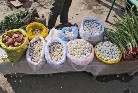 UZBEKISTAN 321 (HACIA FERGANA)… RUBARBAS Y QUESITOS DE LECHE DE YEGUA