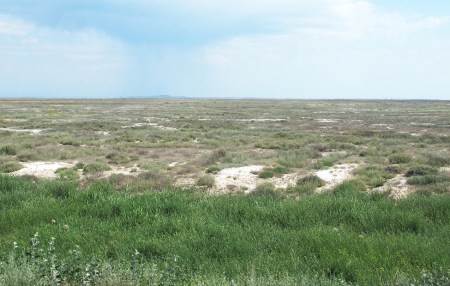 KAZAQUISTAN -2° ENTRADA 27 {HACIA EL LAGO ALAKOL} EN LA ESTEPA SE VEN ZONAS CON RESTOS DE SAL