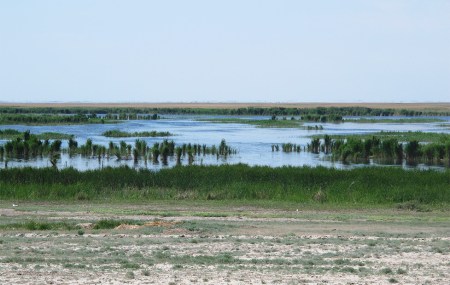 KAZAQUISTAN -2° ENTRADA 28 (HACIA EL LAGO ALAKOL} LAS PRIMERAS MARISMAS