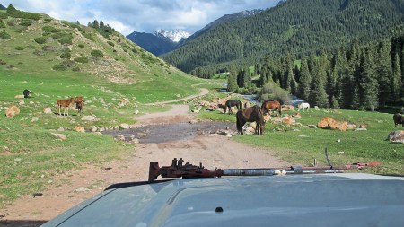 KIRGUISTAN 255 (JETY-ÖGHUZ, EL VALLE DE LAS FLORES) ESTE TIENE QUE SER EL PARAISO PARA LOS CABALLOS