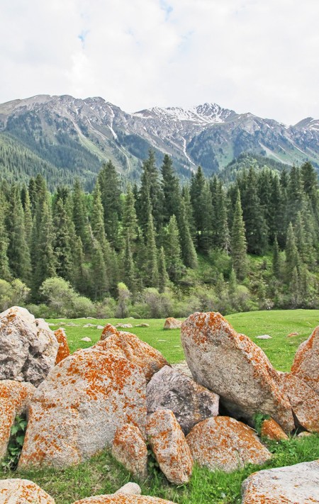 KIRGUISTAN 259 (JETY-ÖGHUZ, EL VALLE DE LAS FLORES) EL PAISAJE NO PUEDE SER MAS ALPINO