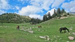 KIRGUISTAN 260 (JETY-ÖGHUZ, EL VALLE DE LAS FLORES) CABALLOS Y MAS CABALLOS