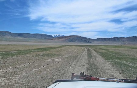 MONGOLIA 19 (HACIA KHOVB) LAS PISTAS EN ZONAS DE PASTOS SON MEJORES…