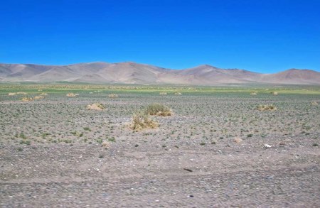 MONGOLIA 4 (DIERECCION A OIGLI) LA VEGETACION ES MUY POBRE Y LOS ARBOLES Y ARBUSTOS INEXISTENTES