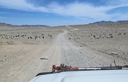 MONGOLIA 48 (HACIA KHOVB) OBEJAS, CABRAS Y PIEDRAS NO FALTAN