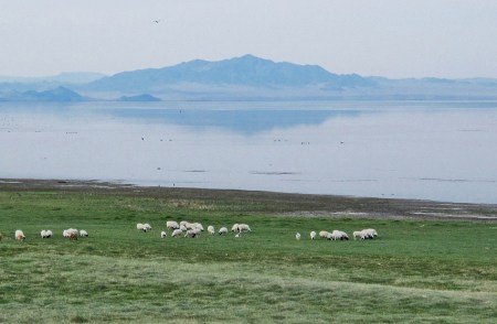 MONGOLIA 67 (EL LAGO KHAR )SU NOMBRE EN MONGOL SIGNIFICA EL LAGO NEGRO