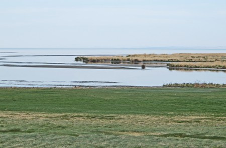 MONGOLIA 68 (EL LAGO KHAR NUUR) TIENE UNA PROFUNDIDAD MEDIA DE 4,5 M, ESTA A 1.136 M. SOBRE EL NIVEL DEL MAR